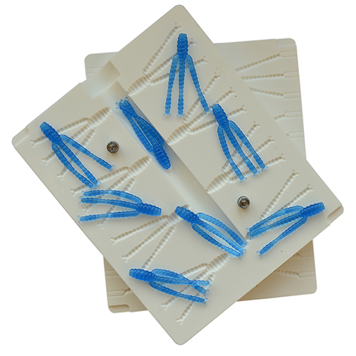 Mold W51 24 Cavity 1" inch / 25 mm