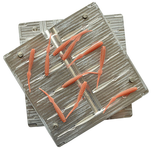 Aluminum Mold W682 10 Cavity 2" inch / 45 mm
