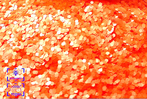orang2